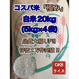 【大粒主体】コスパ米「極み」20kg(5kg×4袋)お米　白米【令和5年新米入】(米/穀物)
