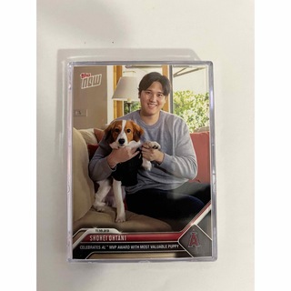 大谷翔平選手と犬カード(シングルカード)