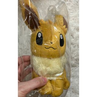 ポケモン(ポケモン)のポケモン イーブイ ぬいぐるみ(ぬいぐるみ)