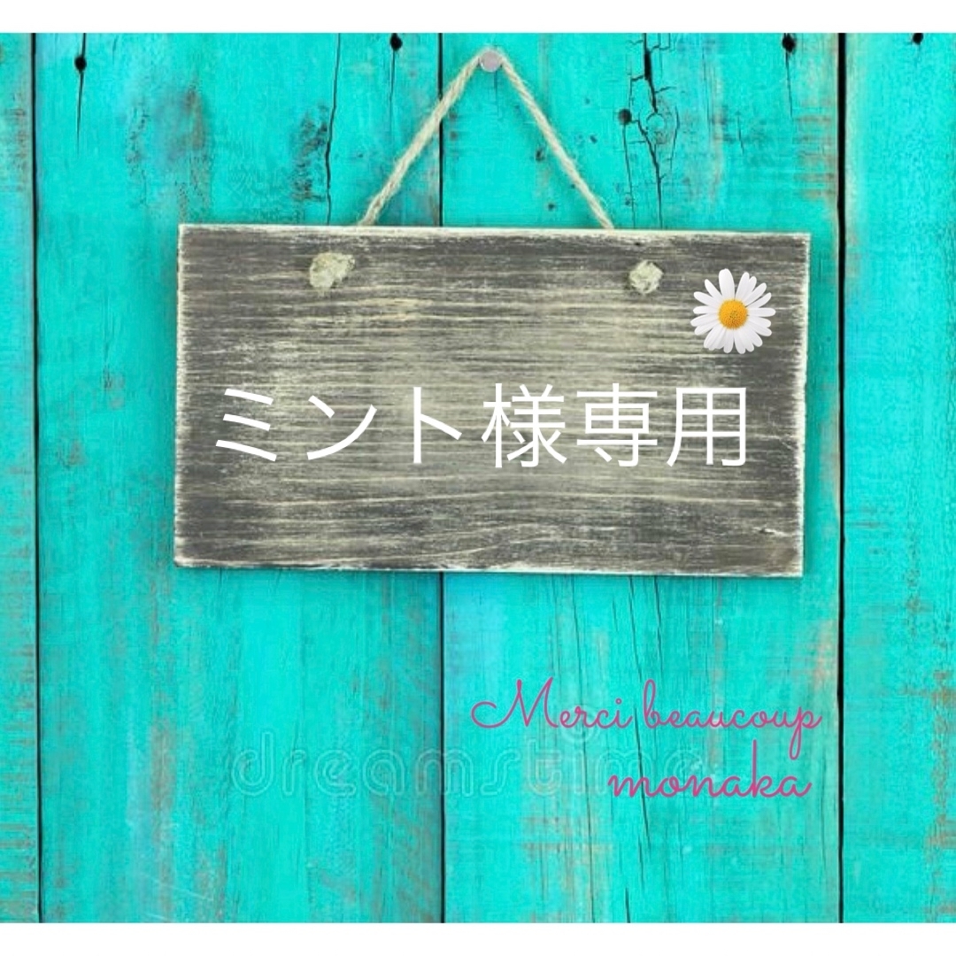 ミント様専用ページꕤ*.゚の通販 by monaka's shop⭐プロフ必読して