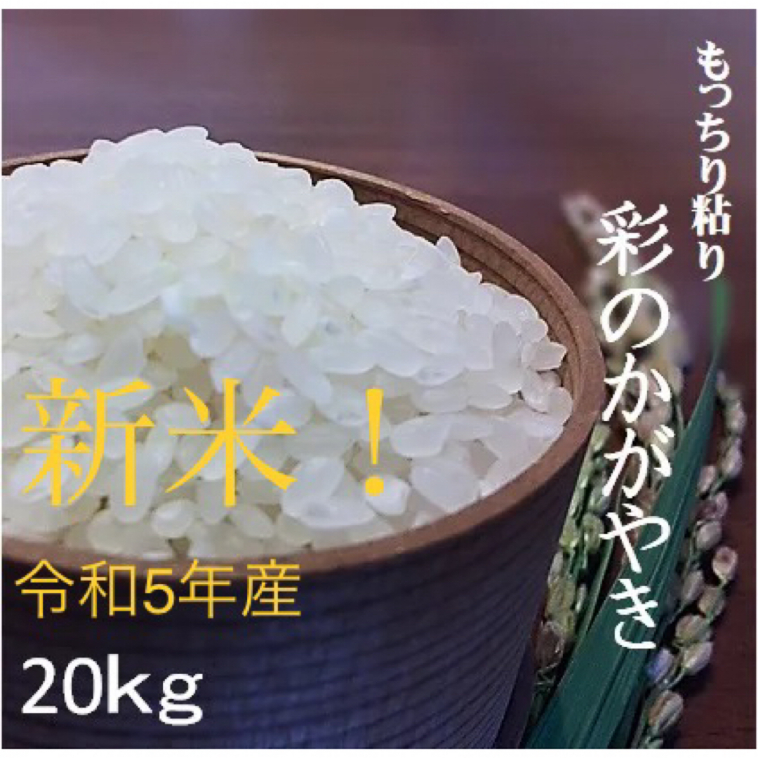 米/穀物令和5年産　彩のかがやき20kg