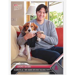 【カードローダー付き】【完売品】大谷翔平選手と愛犬の2ショットMVPカード (シングルカード)