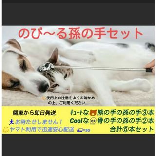 熊の手の孫の手　骨の手の孫の手　5本　セット　コンパクト　伸縮　携帯　プレゼント(日用品/生活雑貨)