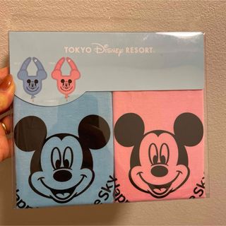 Disney - ディズニーリゾート限定スタイ2枚組☆新品未使用の通販 by