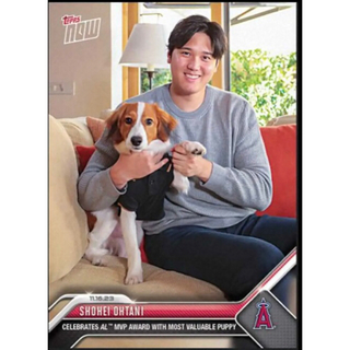 メジャーリーグベースボール(MLB)の大谷翔平トレーディングカードMVP　愛犬コーイケルホンディエ Topps社(記念品/関連グッズ)