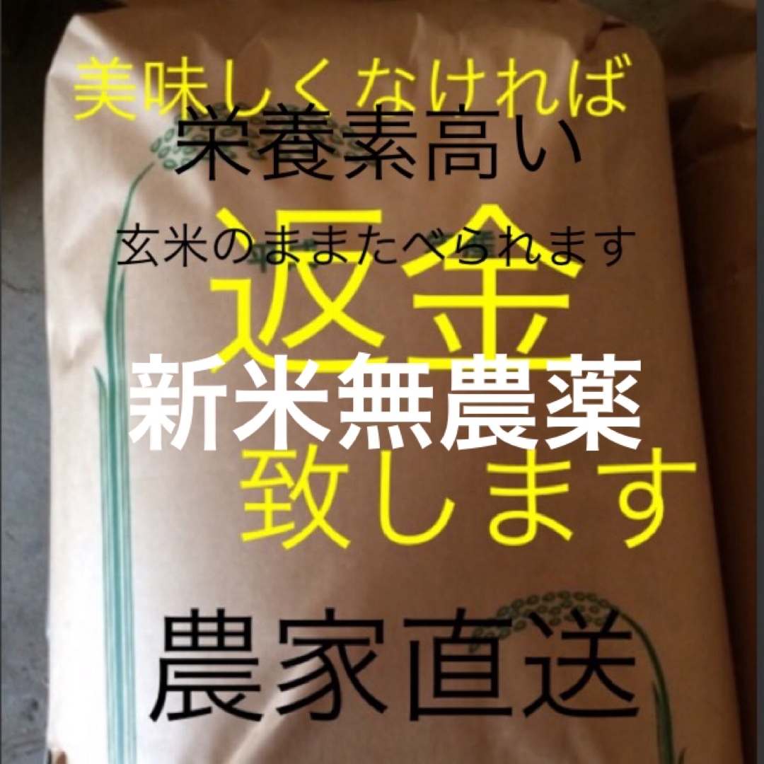 新米　無農薬純こしひかり30㎏ 玄米 食品/飲料/酒の食品(米/穀物)の商品写真