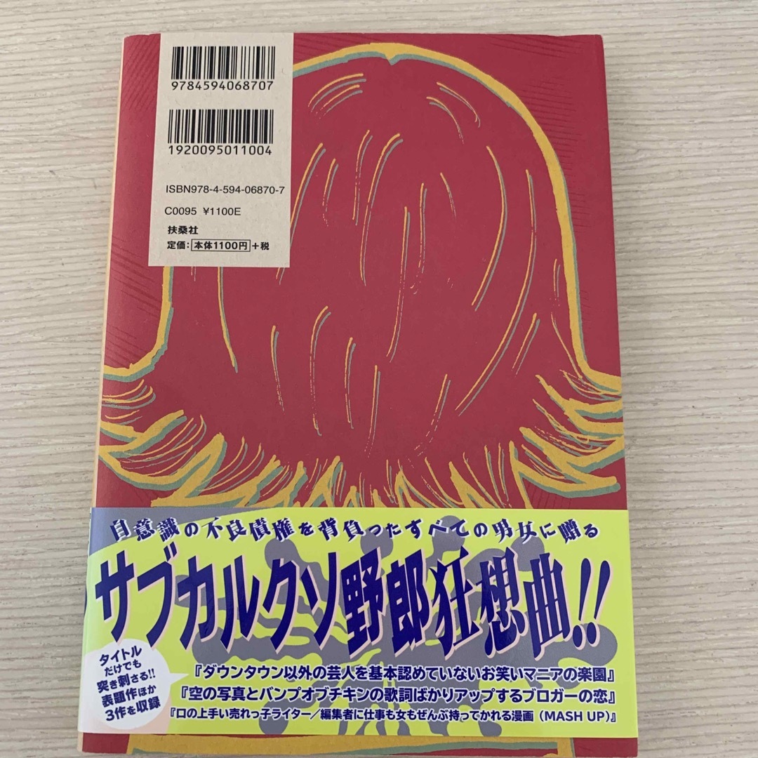 カフェでよくかかっているＪ－ＰＯＰのボサノヴァカバ－を歌う女の一生 エンタメ/ホビーの本(アート/エンタメ)の商品写真