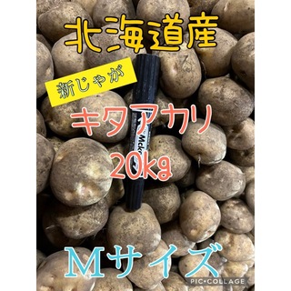 北海道産じゃがいもキタアカリ20kg(野菜)