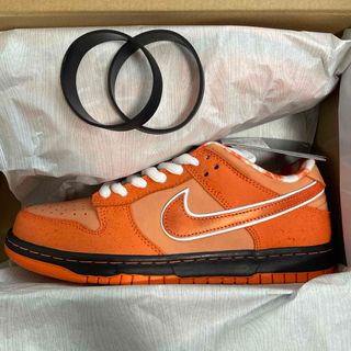 ナイキ(NIKE)のNIKE DUNK SB ロブスター(スニーカー)