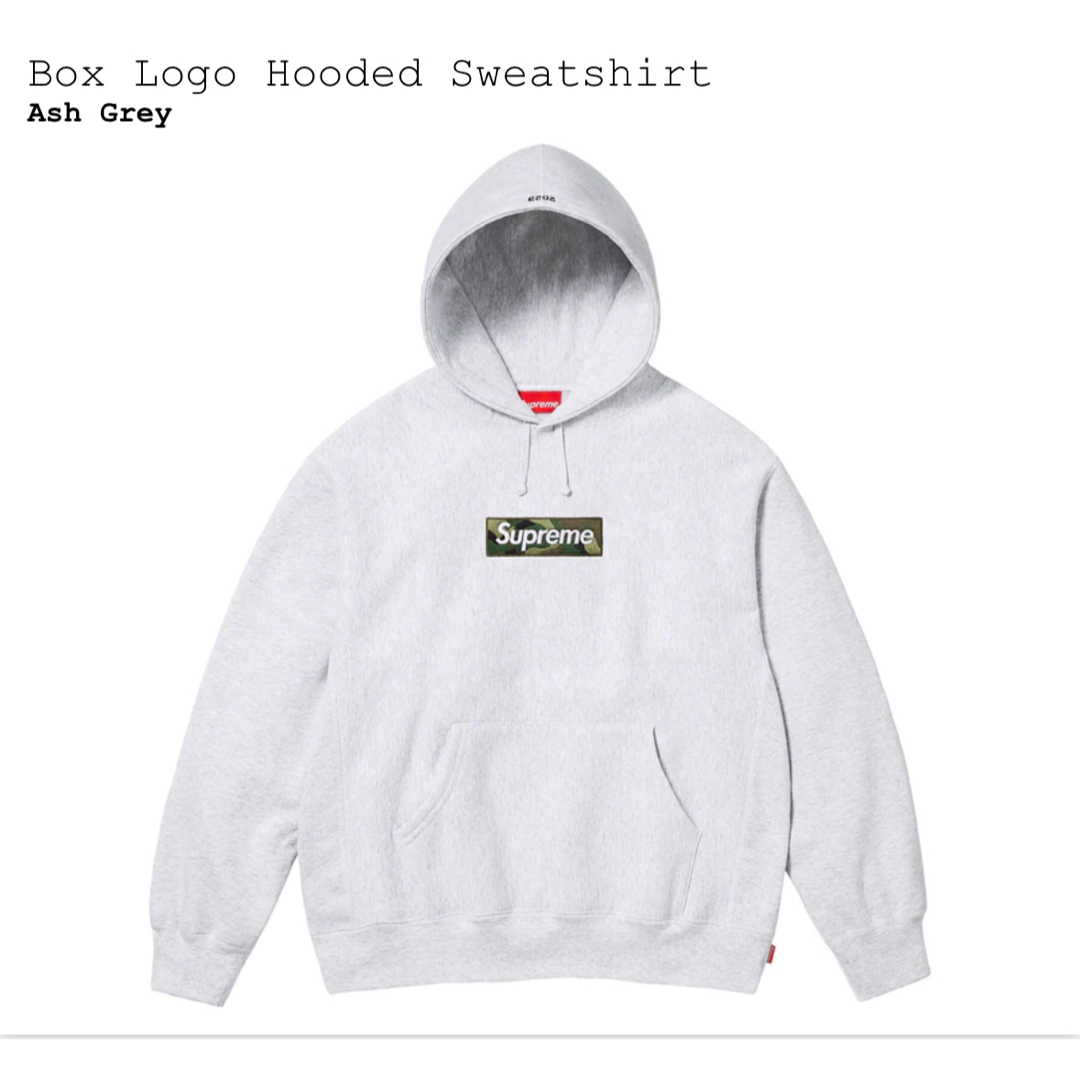 Box Logo Hooded Sweatshirt Ash Grey