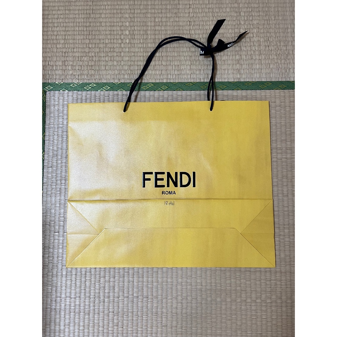 FENDI(フェンディ)のFENDI 紙袋　大大 その他のその他(その他)の商品写真