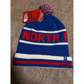 ザノースフェイス(THE NORTH FACE)のノースフェイス　SKI TUKE V beanie ブルー(ニット帽/ビーニー)