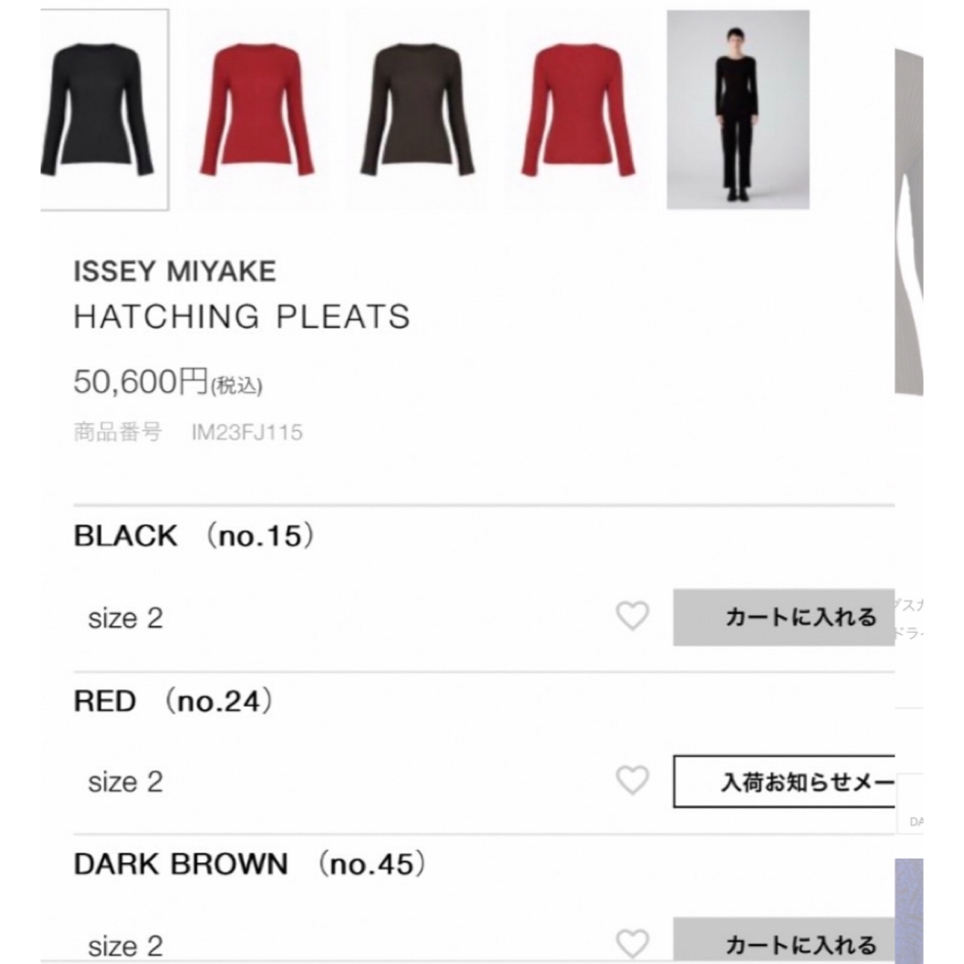 ISSEY MIYAKE(イッセイミヤケ)のISSEYMIYAKE HATCHING PLEATS  レディースのトップス(Tシャツ(長袖/七分))の商品写真