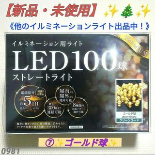 ドウシシャ(ドウシシャ)の【新品・未使用】⑦イルミネーション LEDライト 100球 LKSD100GDG(その他)