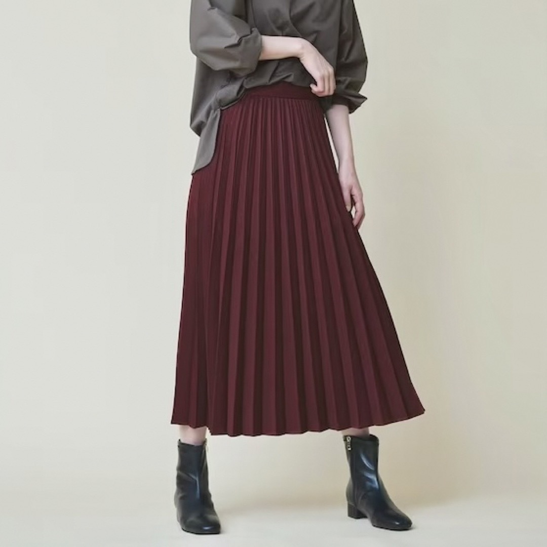anyFAM(エニィファム)のプリーツスカート レディースのスカート(ロングスカート)の商品写真