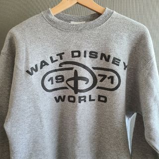 ディズニー(Disney)のチャンピオン　ディズニーワールド　スウェット　プルオーバー　champion(スウェット)