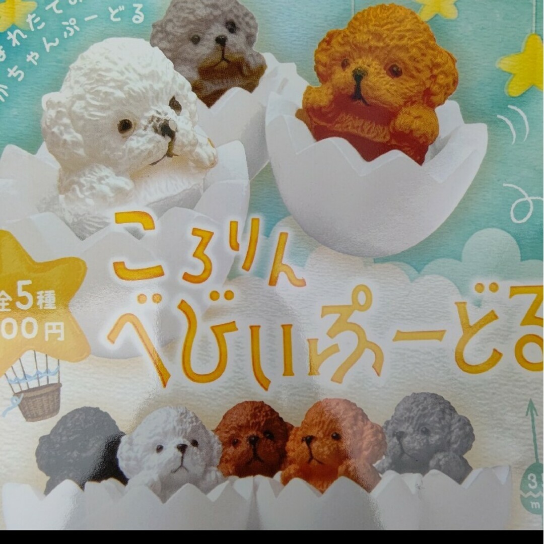 ころりんべびぃぷーどる その他のペット用品(犬)の商品写真