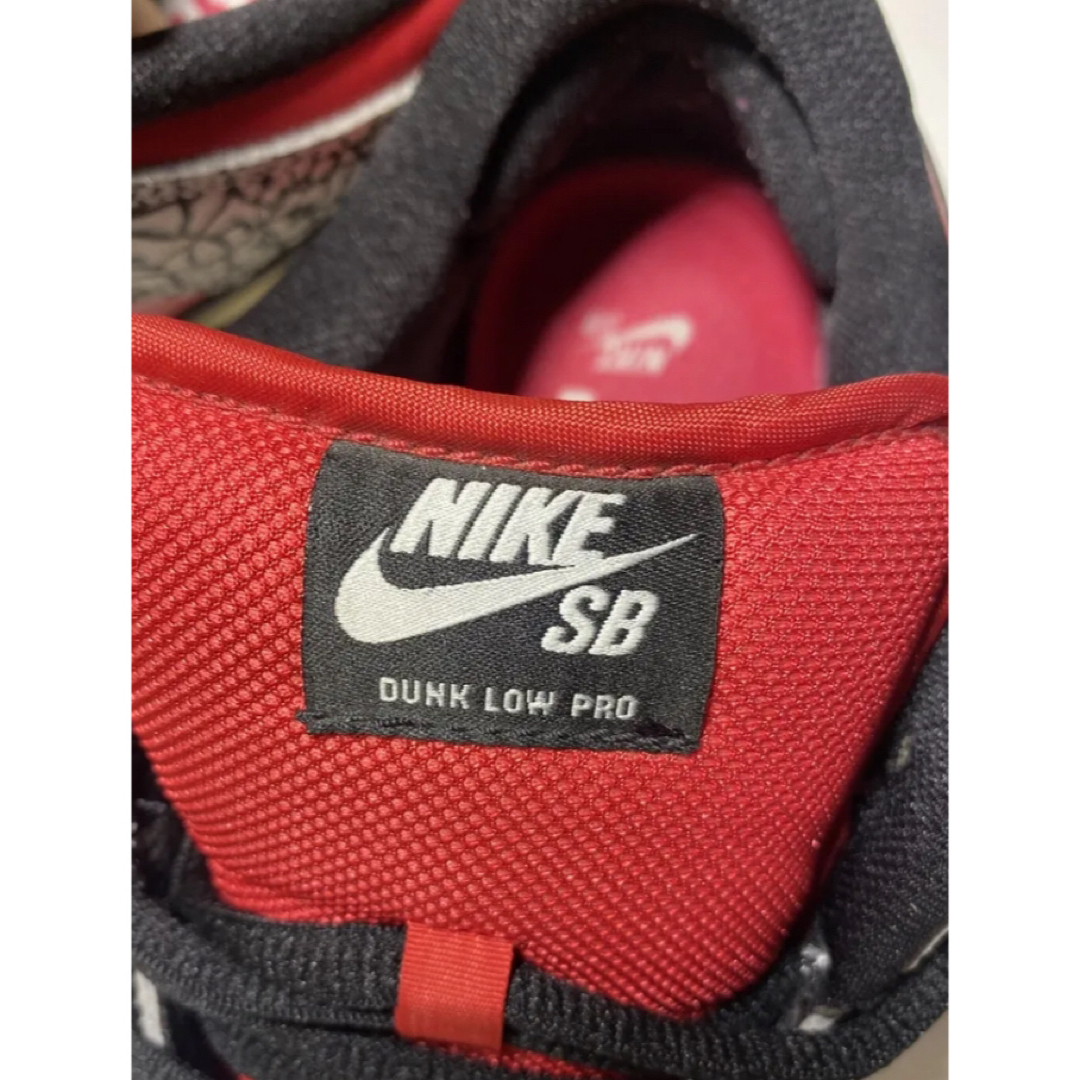NIKE(ナイキ)のNike Dunk Low PRM SB Red Cement US 9.5 メンズの靴/シューズ(スニーカー)の商品写真