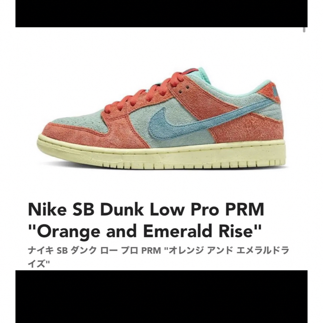 Nike SB Dunk Low Orange and Emerald Riseローカット着脱タイプ