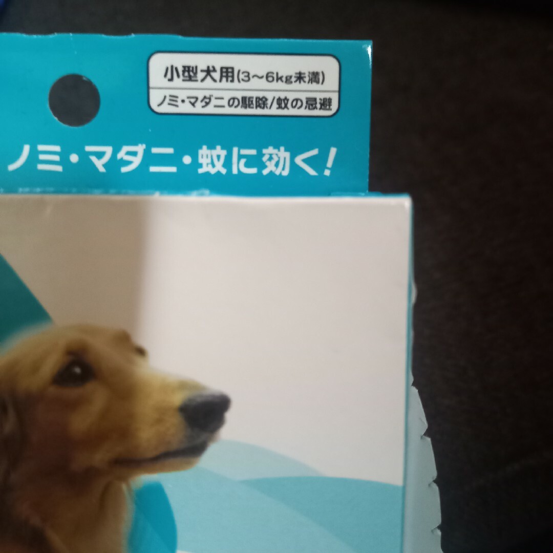 フォースガード その他のペット用品(犬)の商品写真