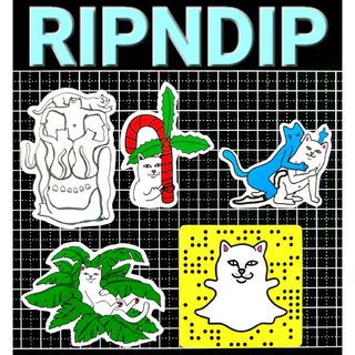 No.88  5枚セット リップンディップ RIPNDIP 防水 ステッカー(スケートボード)