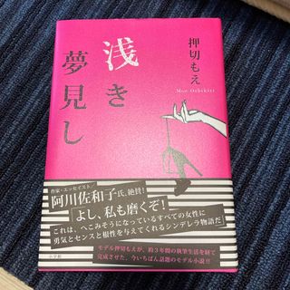 浅き夢見し(文学/小説)