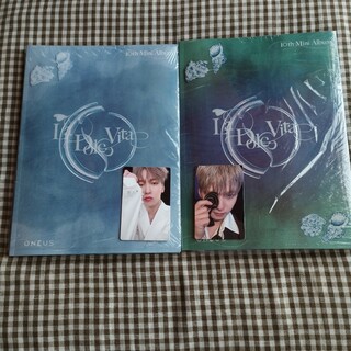 Oneus La Dolce Vita CD Lver Dver ゴニ コンヒ(K-POP/アジア)