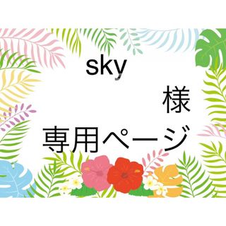 ディズニー(Disney)のSky 様 オーダーページ(その他)