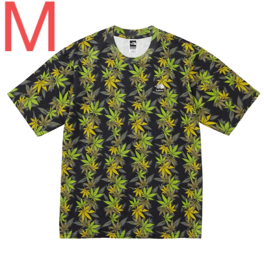 Supreme(シュプリーム)のSupreme The North Face Leaf S/S Top M メンズのトップス(Tシャツ/カットソー(半袖/袖なし))の商品写真