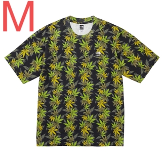 シュプリーム(Supreme)のSupreme The North Face Leaf S/S Top M(Tシャツ/カットソー(半袖/袖なし))