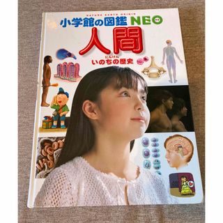 ショウガクカン(小学館)の小学館の図鑑NEO 人間　カバー無し(絵本/児童書)