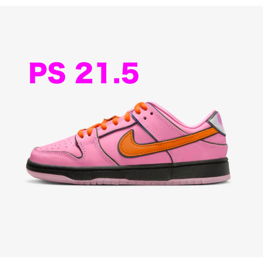 The Powerpuff Girls Nike SB PS Dunkブルー系カット