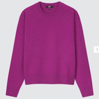 ユニクロ(UNIQLO)のプレミアムクルーネックセーター(ニット/セーター)