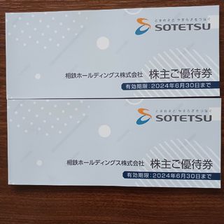 相鉄ホールディングス 株主優待 冊子のみ 2冊(その他)