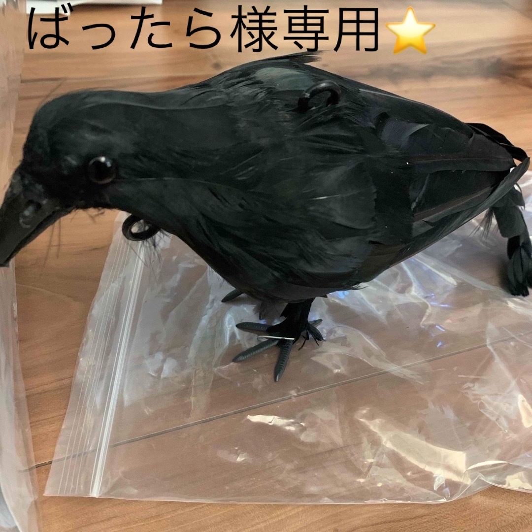 防鳥用　吊り下げカラス その他のペット用品(鳥)の商品写真