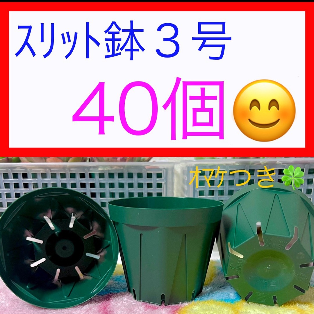 A②④  ｽﾘｯﾄ鉢【3号】40個ｾｯﾄ★ﾓｽｸﾞﾘｰﾝ ハンドメイドのフラワー/ガーデン(プランター)の商品写真