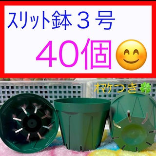 A②④  ｽﾘｯﾄ鉢【3号】40個ｾｯﾄ★ﾓｽｸﾞﾘｰﾝ(プランター)