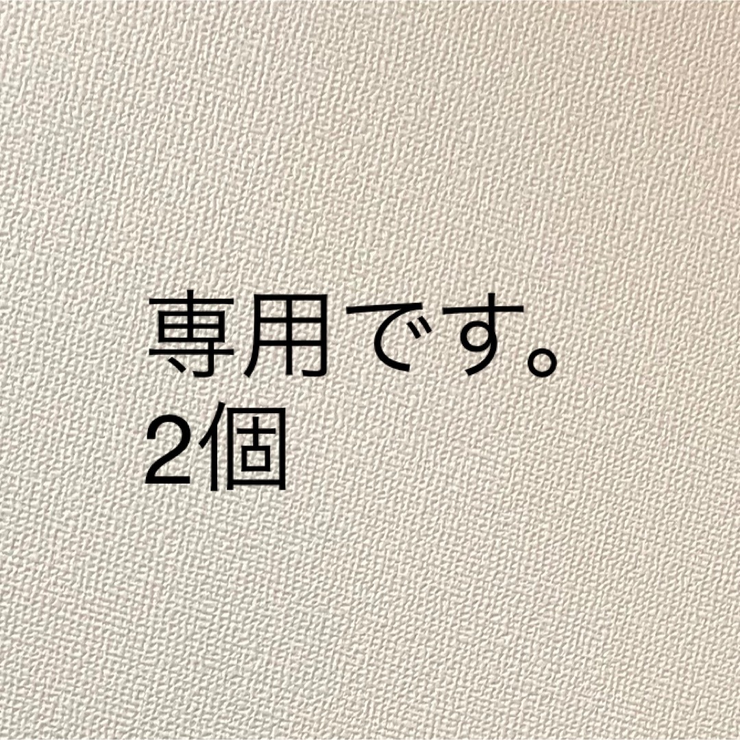 エンタメ/ホビー専用です　2個