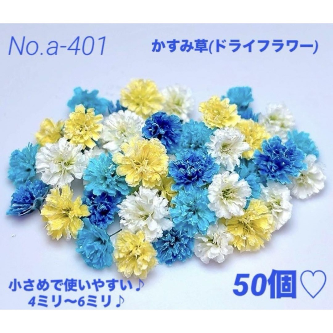 確認用となりますNo.a-401かすみ草(ドライフラワー)4ミリ～6ミリ♪50個 ハンドメイドのフラワー/ガーデン(ドライフラワー)の商品写真