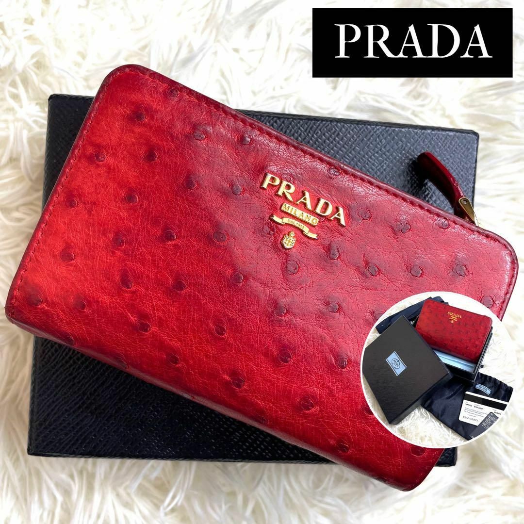 PRADA(プラダ)の⋟極希少品⋞ 付属品完備 / プラダ オーストリッチレザーコンパクトウォレット レディースのファッション小物(財布)の商品写真