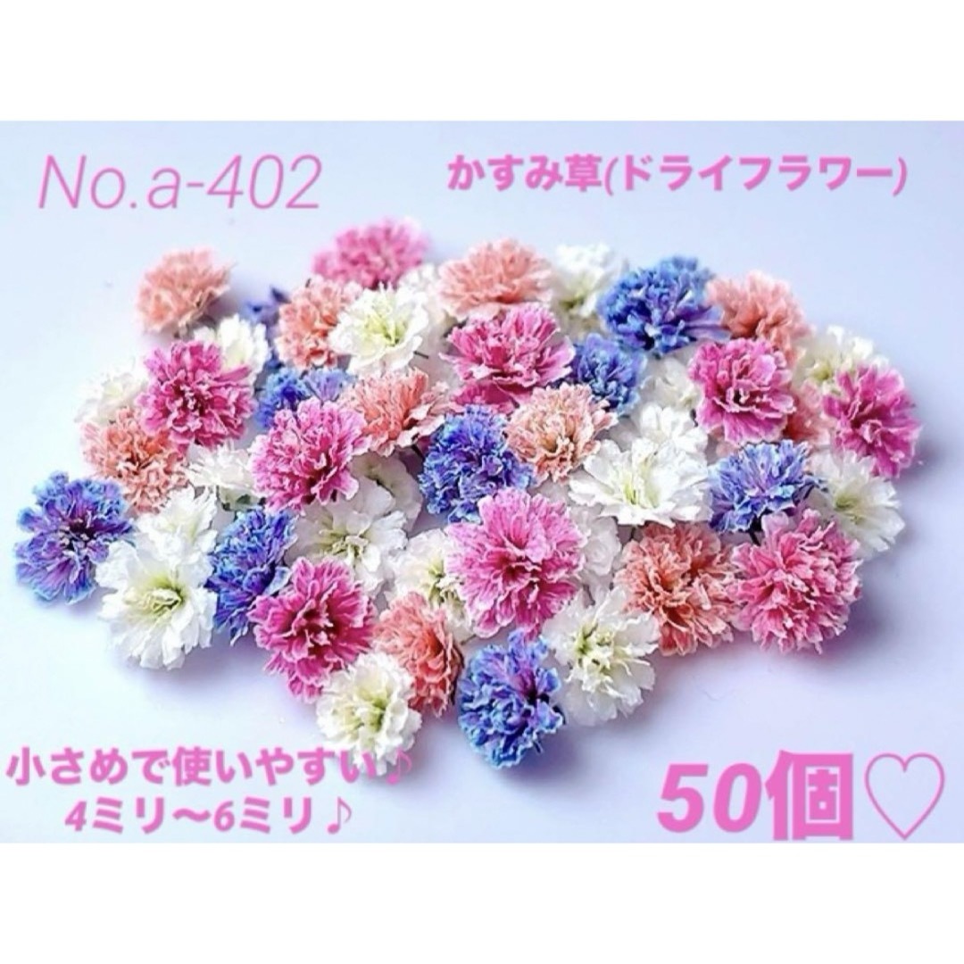 確認用となりますNo.a-402かすみ草(ドライフラワー)4ミリ～6ミリ♪50個 ハンドメイドのフラワー/ガーデン(ドライフラワー)の商品写真