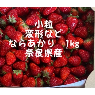 ならあかり　1kg 小粒　変形　奈良県　農家直送　いちご　イチゴ　苺(フルーツ)