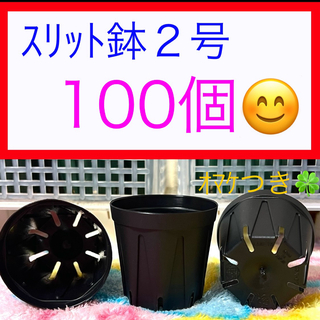 G⑤  ｽﾘｯﾄ鉢【2号】100個ｾｯﾄ★ﾌﾞﾗｯｸ(プランター)