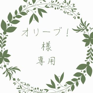 オリーブ！様専用☆多肉植物(その他)