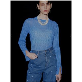 アメリヴィンテージ(Ameri VINTAGE)のタグ付き🏷️BUMPY SKIN KNIT TOP(ニット/セーター)