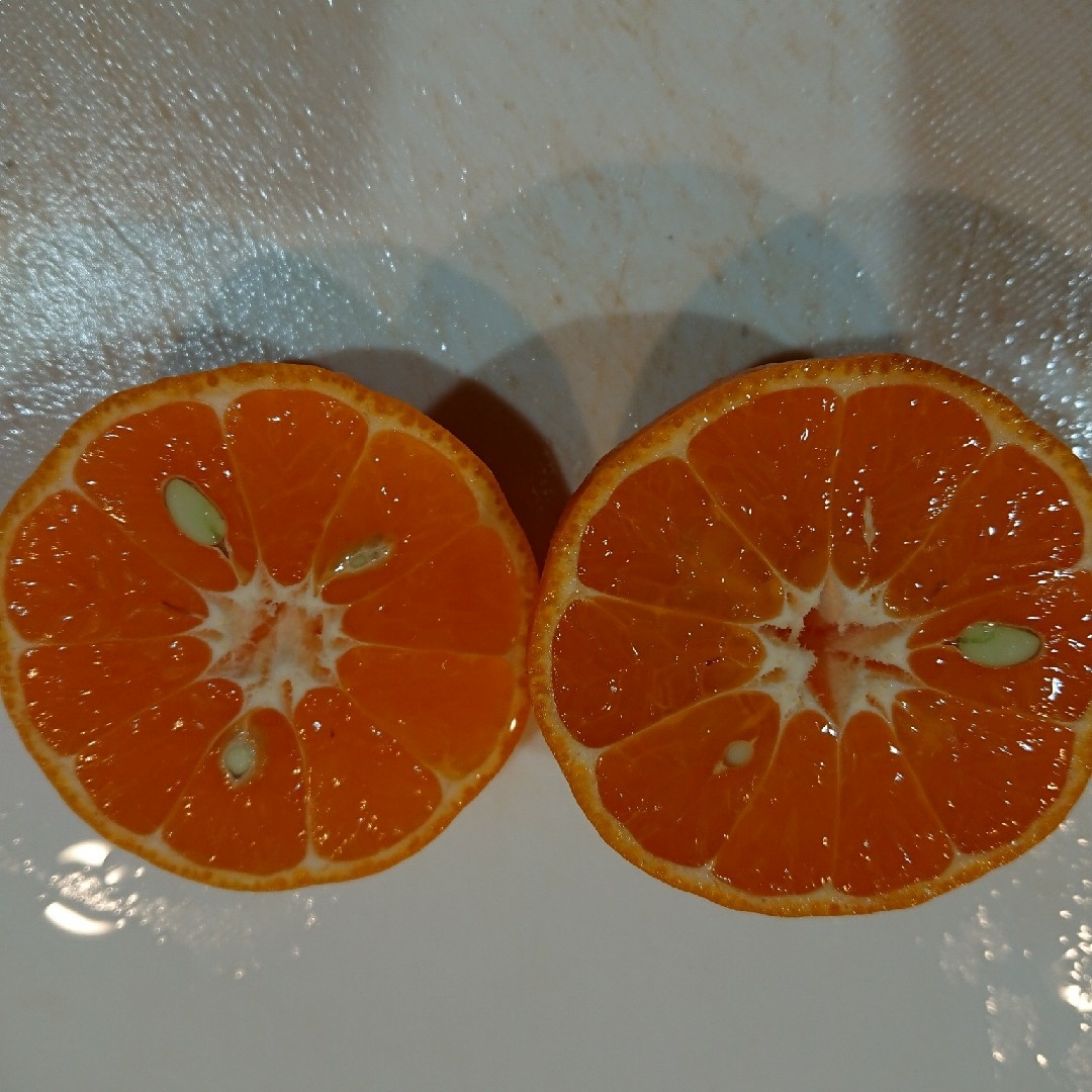 マンダリンオレンジ　約5kg 食品/飲料/酒の食品(フルーツ)の商品写真