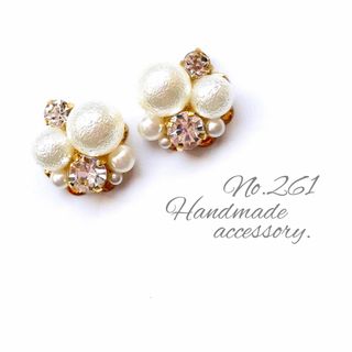 261.ピアス/イヤリング(ピアス)