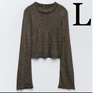 ザラ(ZARA)のメタリックヤーントップス ZARA(ニット/セーター)