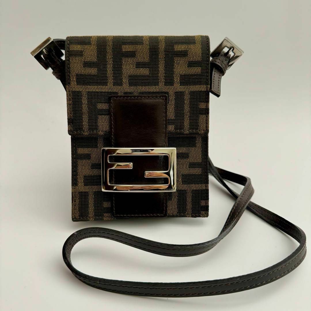 AB品カラー【美品】FENDI フェンディ  ショルダーポーチ