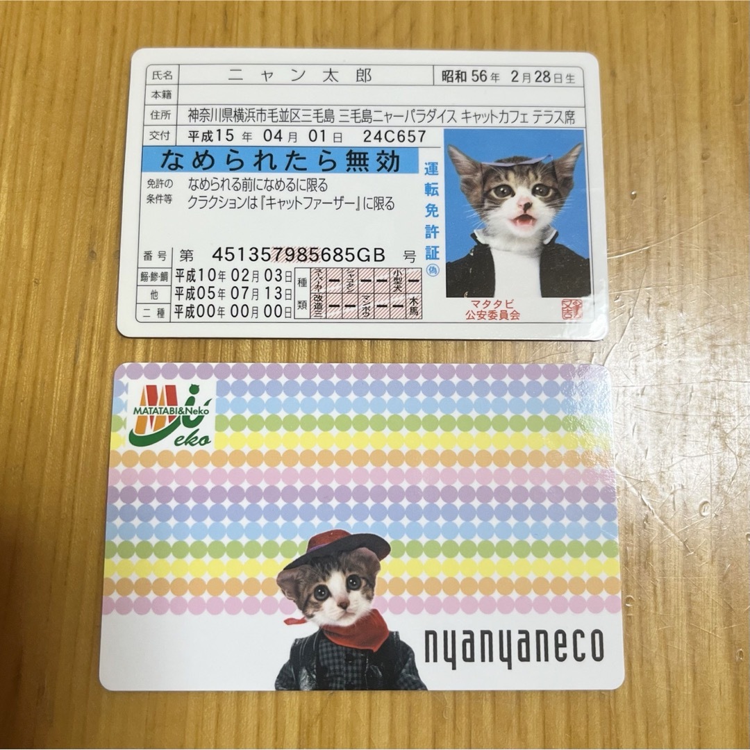 なめ猫 免許証 ニャニャコ(nanaco) 2点売りの通販 by さくらこ's なめ猫 免許証 ニャニャコ(nanaco) 2点売りの通販 by さくらこ's